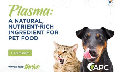 Bovine Plasma Protein